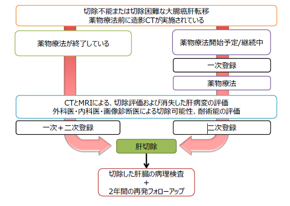 薬物療法を行った大腸がんの肝転移病変についてのフローチャートの画像