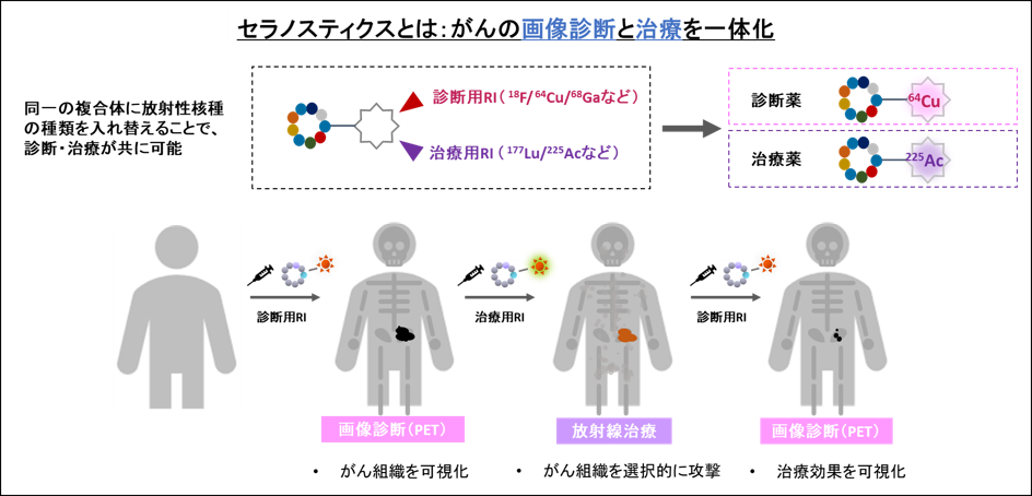 Claudin18.2を標的とするがん放射性医薬品候補 64Cu-PD-29875 のファーストインヒューマン試験において最初の胃がん患者さんにおける投与後解析を実施