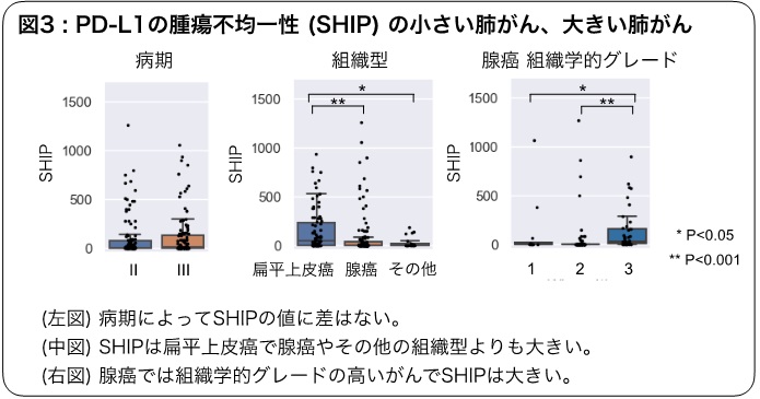 PD-L1の腫瘍不均一性（SHIP)の小さい肺がん、大きい肺がん