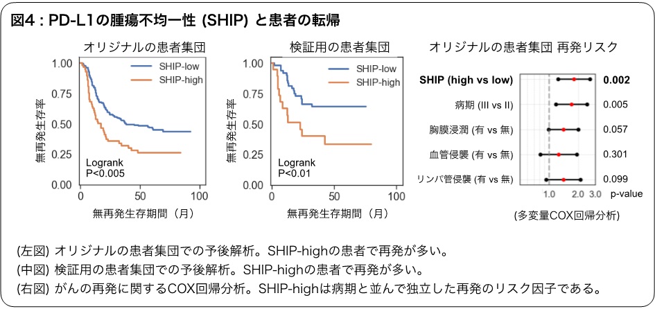 PD-L1の腫瘍不均一性(SHIP)と患者の転帰