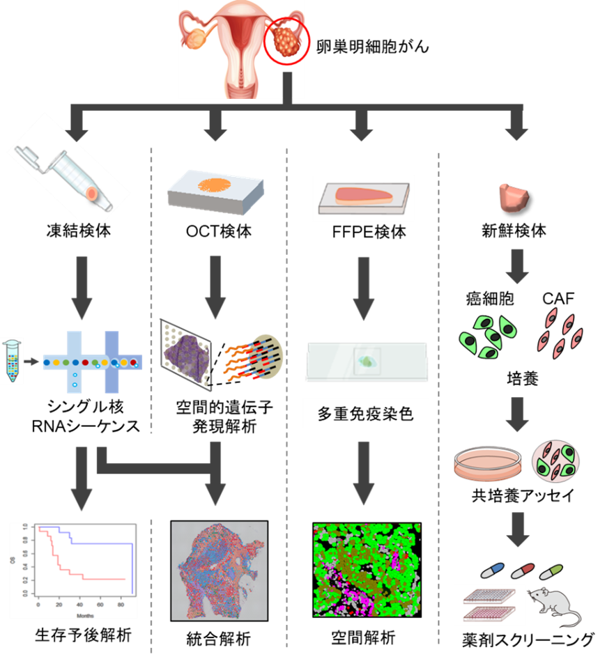 図1