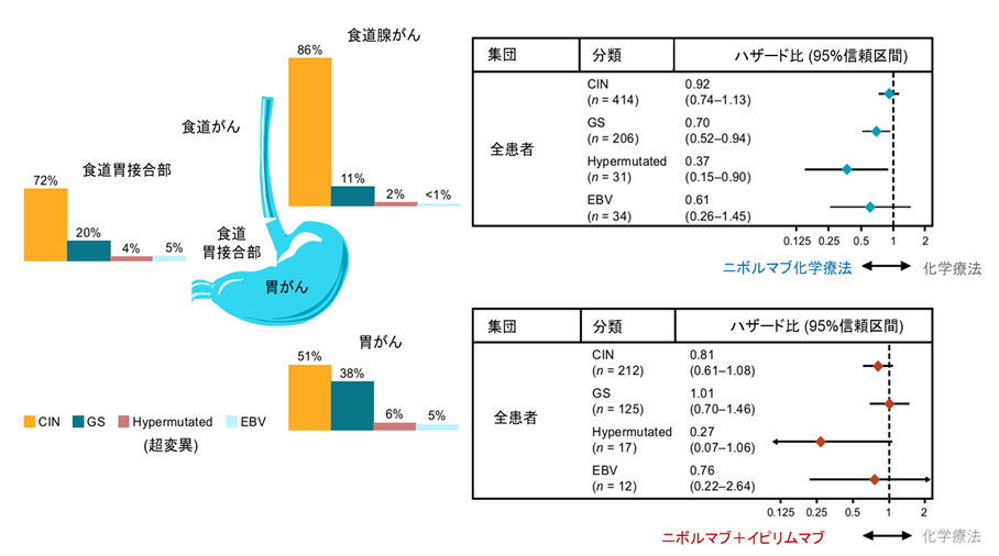 図1. 胃がんの分子学的分類別の生存延長効果