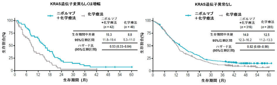 図2. KRAS遺伝子異常の有無別の生存延長効果