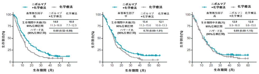 図3. 血管新生に関わる遺伝子発現別の生存延長効果 （全体集団）