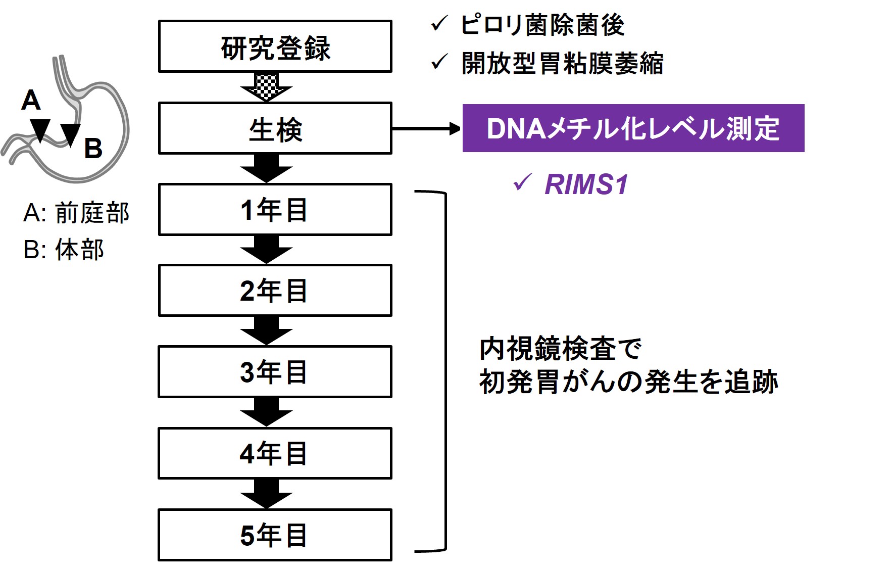 図2 研究デザイン