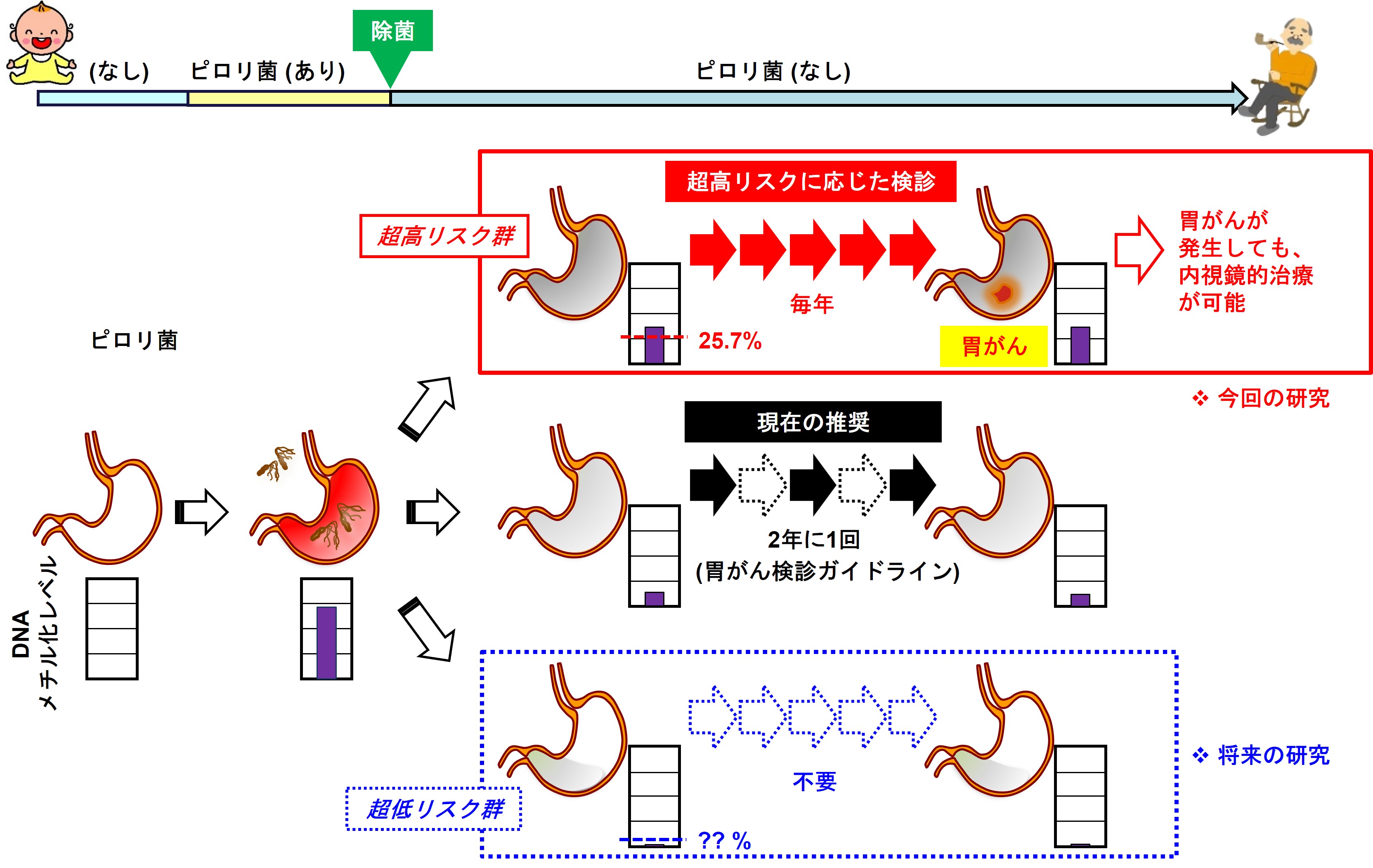 図5 メチル化レベルに応じた検診間隔の調整