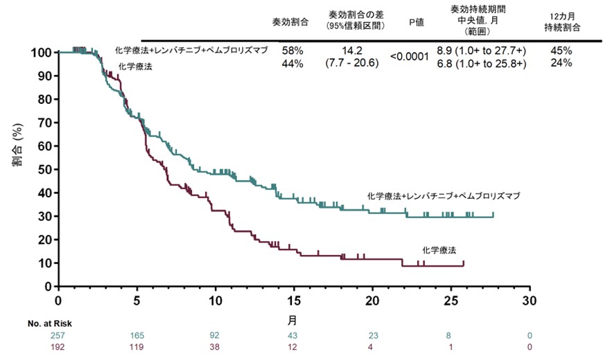 奏効例における奏効持続期間の生存曲線