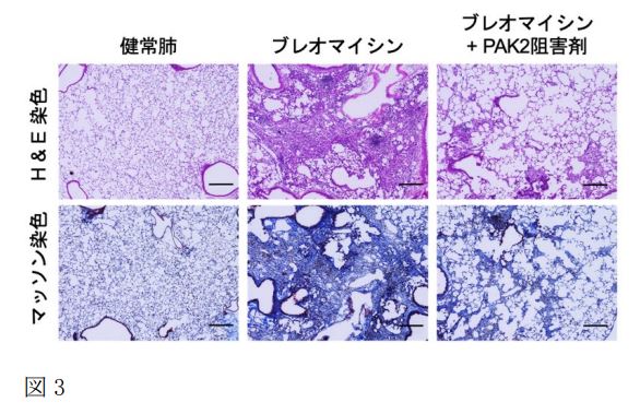 図3の画像
