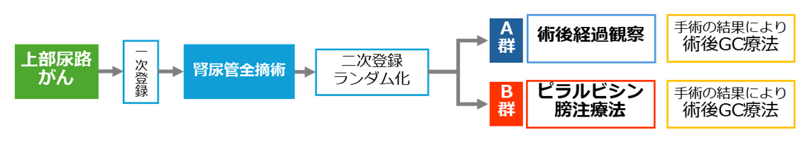 図2 研究方法 A群(標準治療群:術後経過観察)B群(試験治療群:ピラルビシン膀注療法)