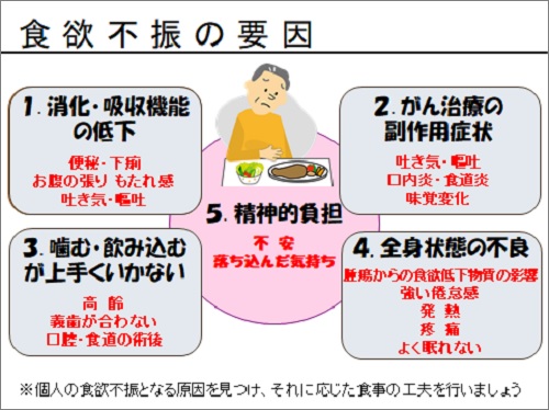 食欲不振 国立がん研究センター 東病院