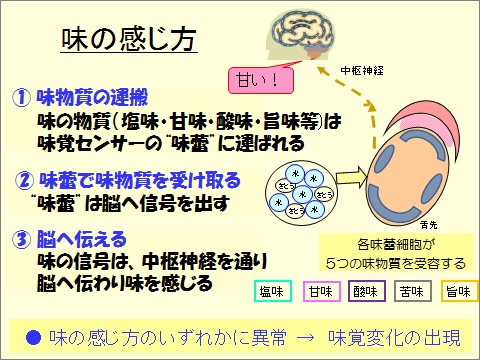 苦味 を 強く 感じる