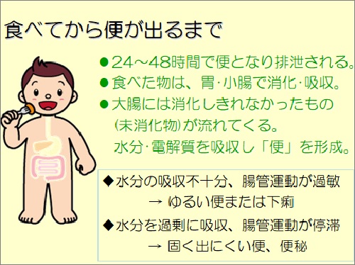 下痢 国立がん研究センター 東病院