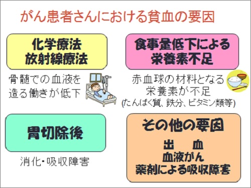 貧血 国立がん研究センター 東病院