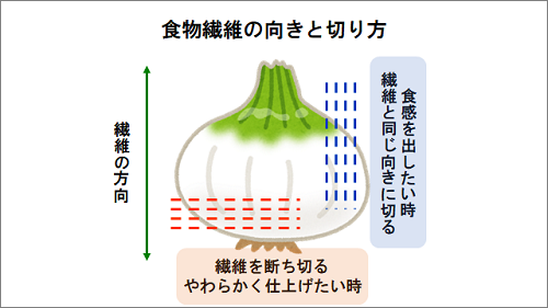 食材の切り方 国立がん研究センター 東病院