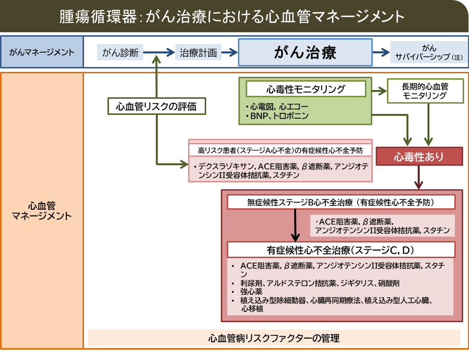 腫瘍循環器の図