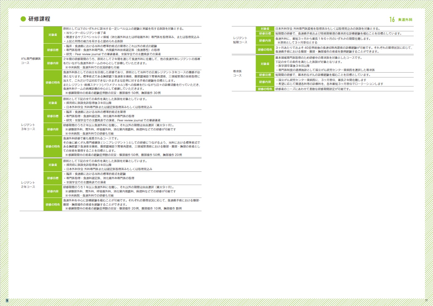 募集要項(研修内容)の画像