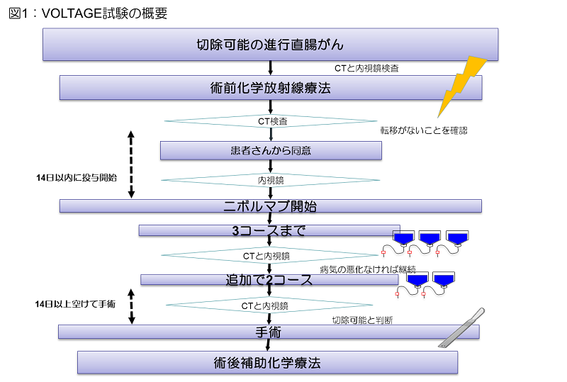 図1の画像