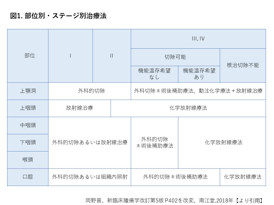 診療について