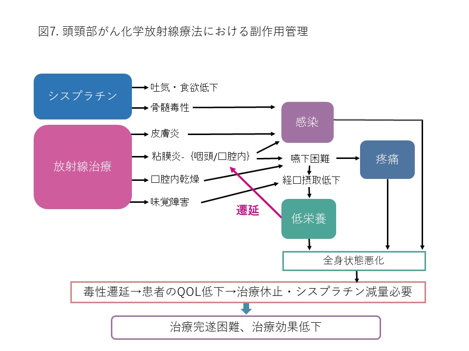 中咽頭・下咽頭・喉頭、口腔を原発とする頭頸部がん 5