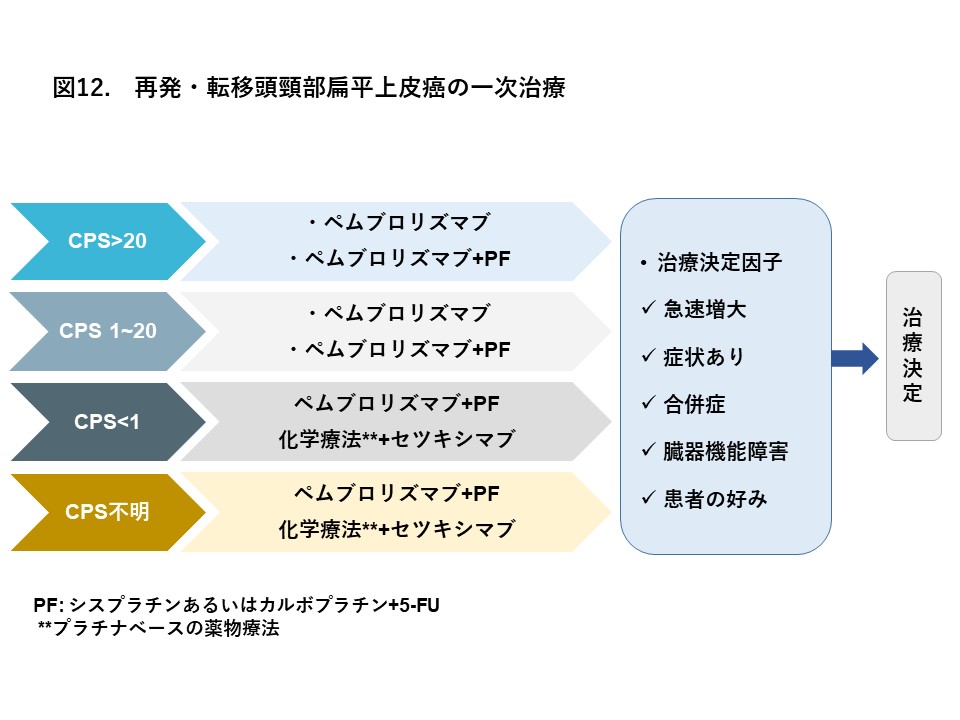 再発・転移を有する頭頸部扁平上皮がん 4