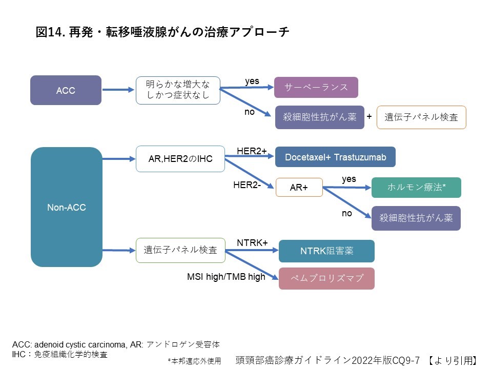 再発・転移唾液腺がん