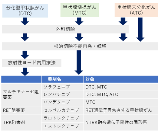 再発・転移甲状腺がんの治療戦略 図6