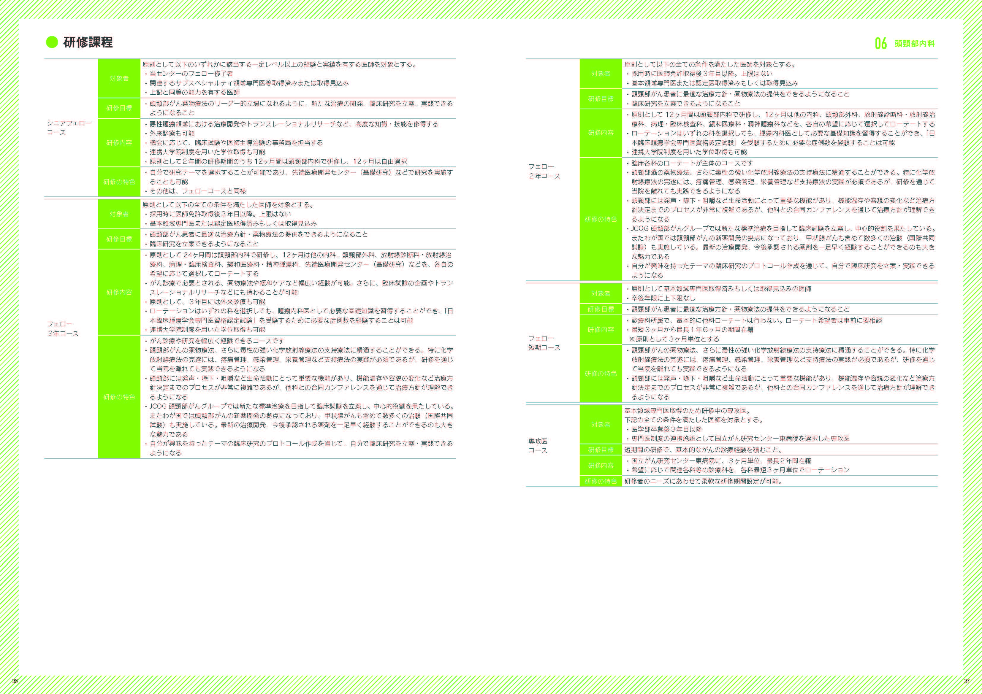 診療科紹介2 募集要項の画像2