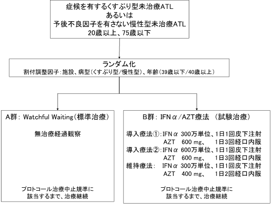 臨床試験のデザイン