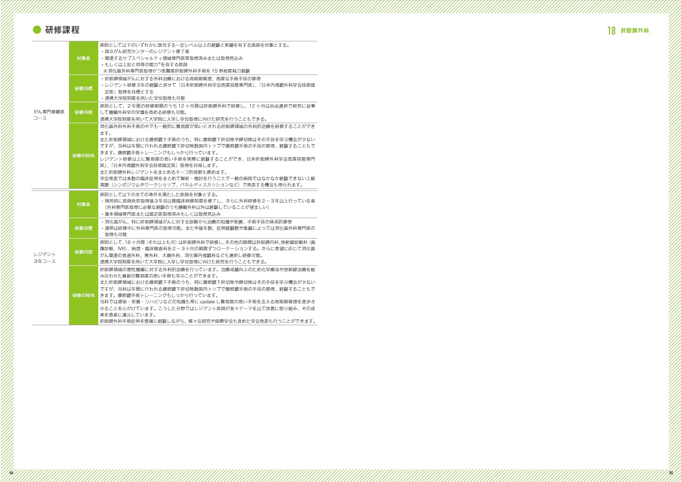 募集要項（研修内容）の画像
