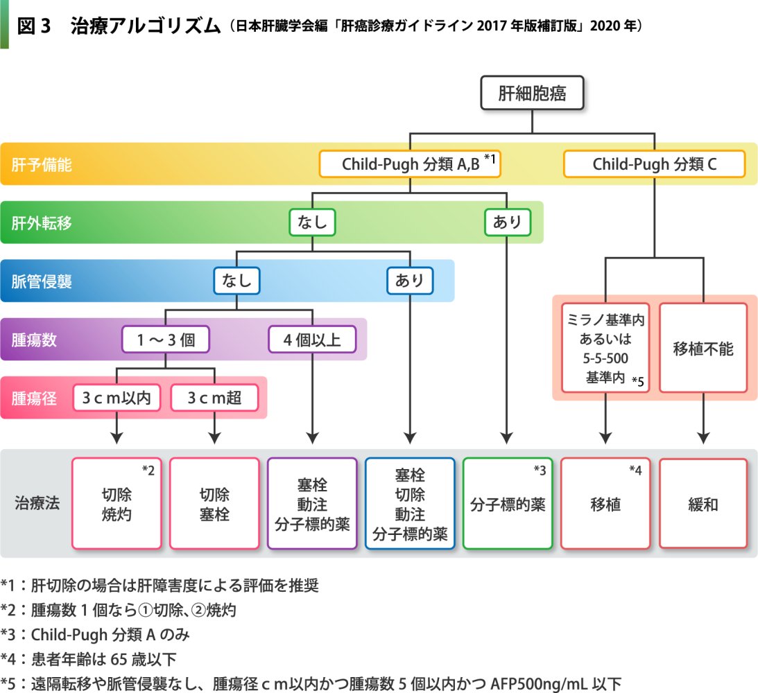 治療アルゴリズム