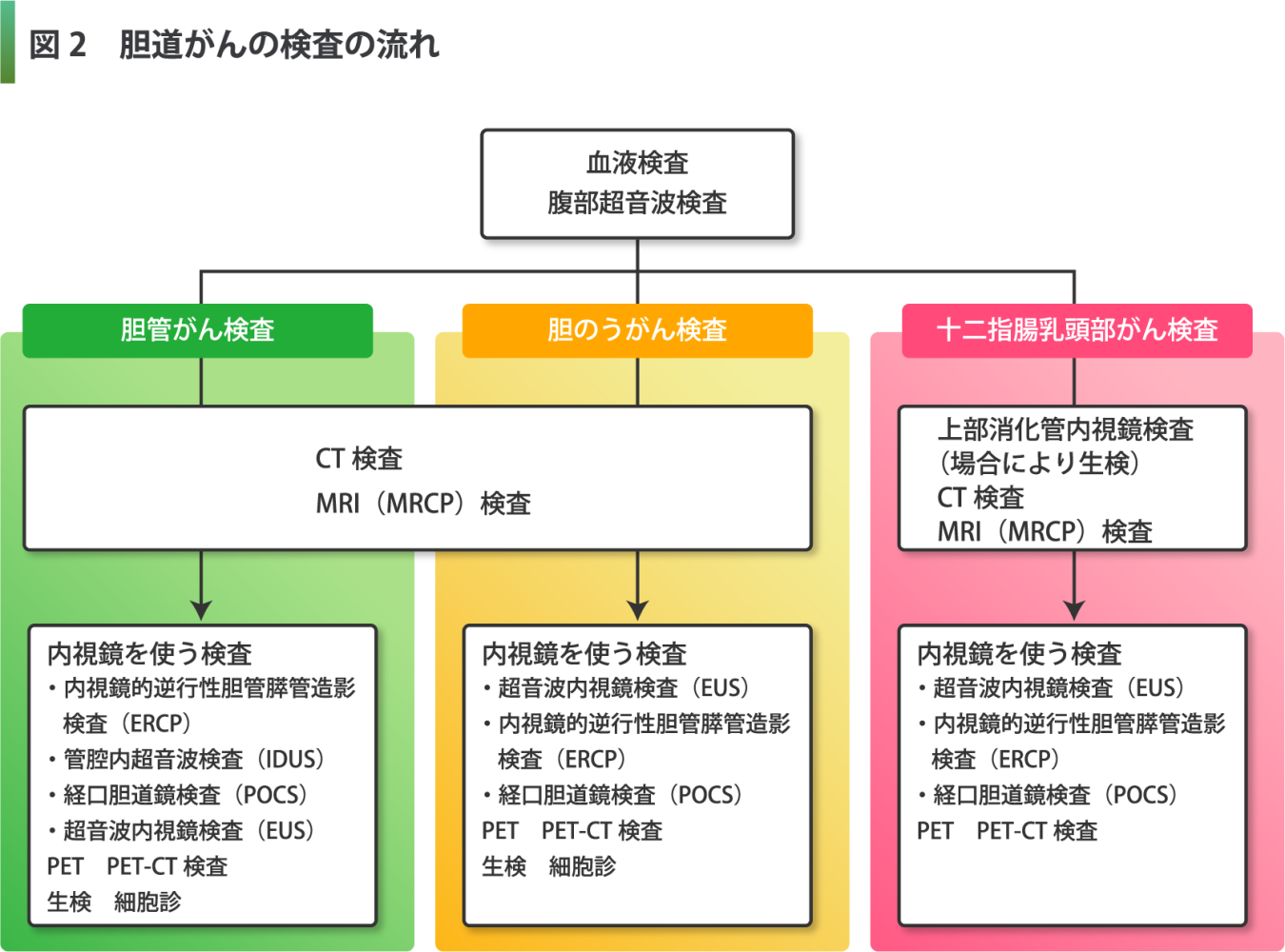 胆道がんの検査の流れ