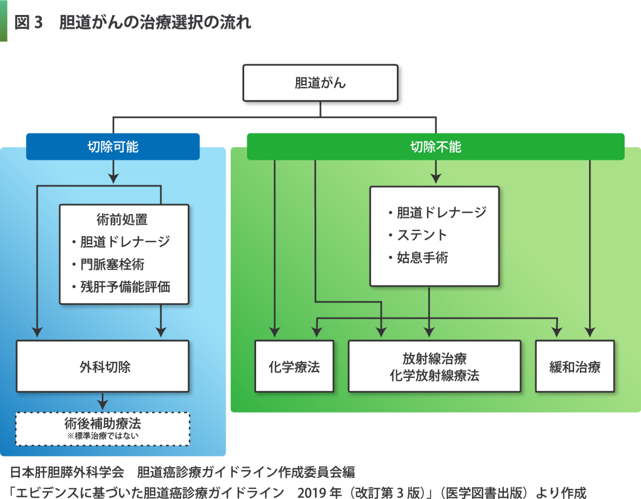 胆道がんの治療選択の流れの図