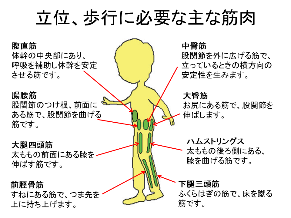 がん患者さんのための ホームエクササイズ動画集 国立がん研究センター 東病院 がん患者さんのための ホームエクササイズ動画集 国立がん研究センター 東病院