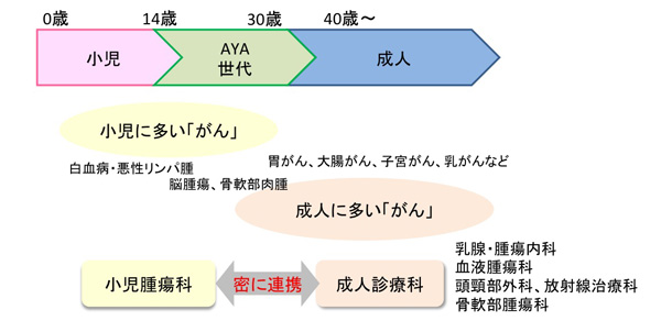 思春期・若年成人（AYA世代）に発症するがん診療　図