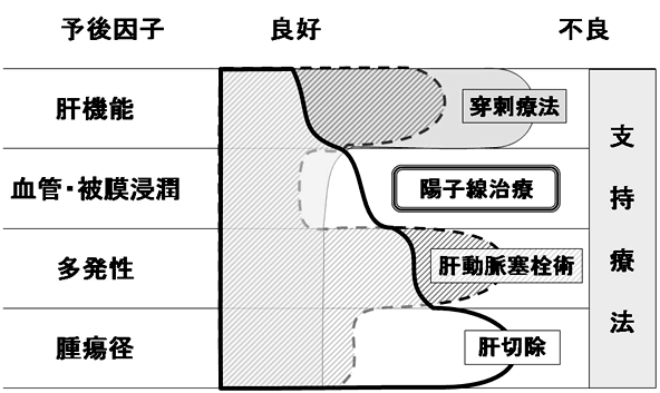 肝臓がんの治療法　図