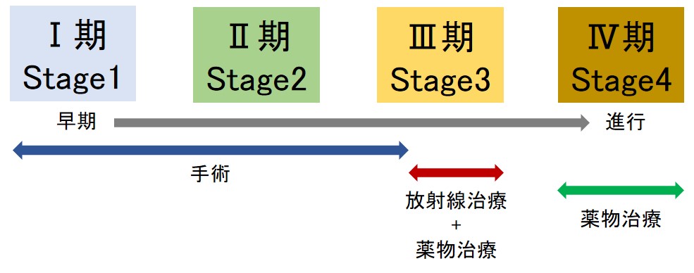 肺がんの治療について 国立がん研究センター 東病院