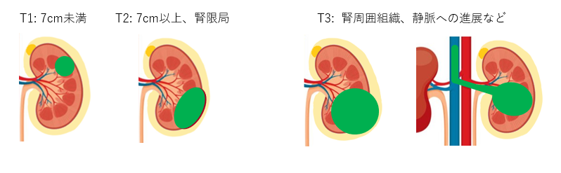 臓器の画像02