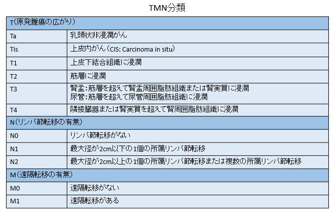 TMN分類