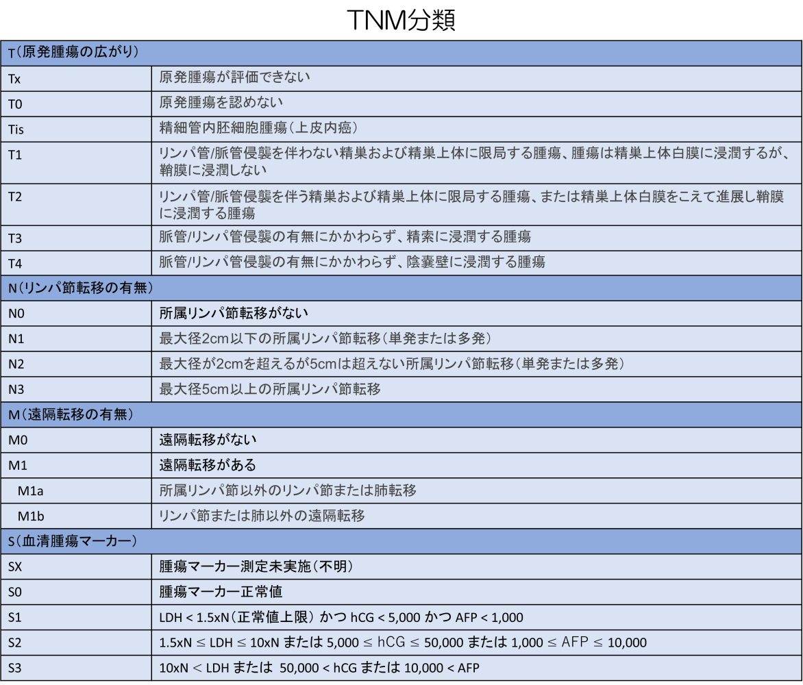 TNM分類