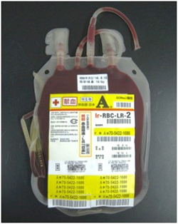 transfusion2.jpg