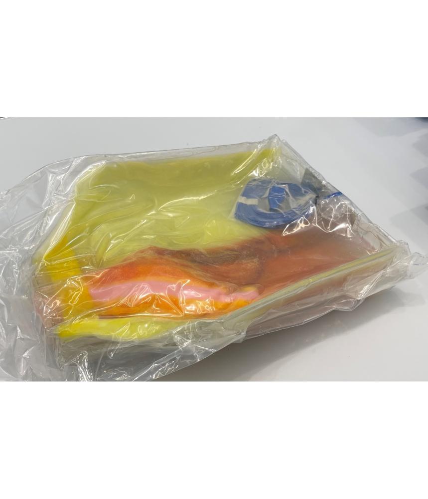 S状結腸切除術訓練シミュレータの画像