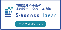 S-Access Japan