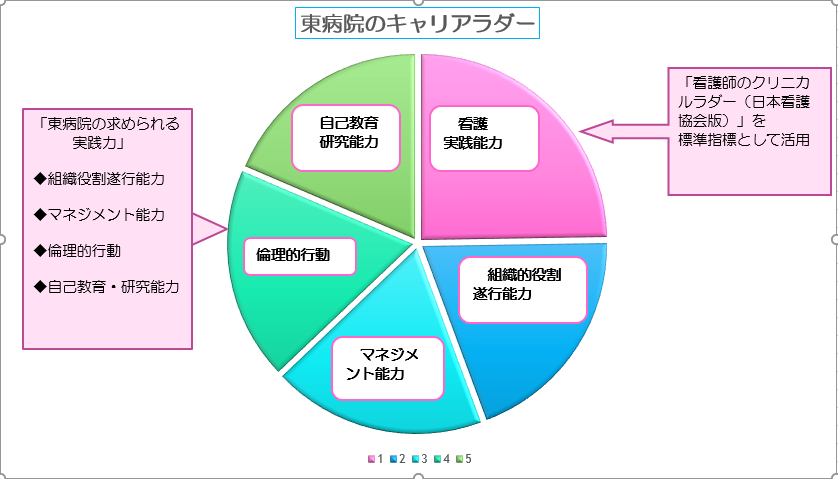 東病院のキャリアラダー