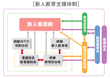 新人教育支援体制