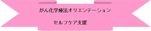 がん化学療法オリエンテーション　セルフケア支援