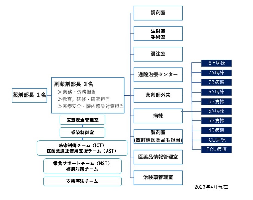 yakuzaibu_busho202306