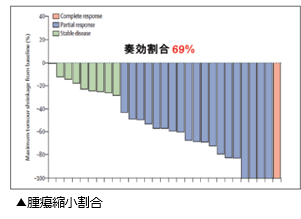 腫瘍縮小割合