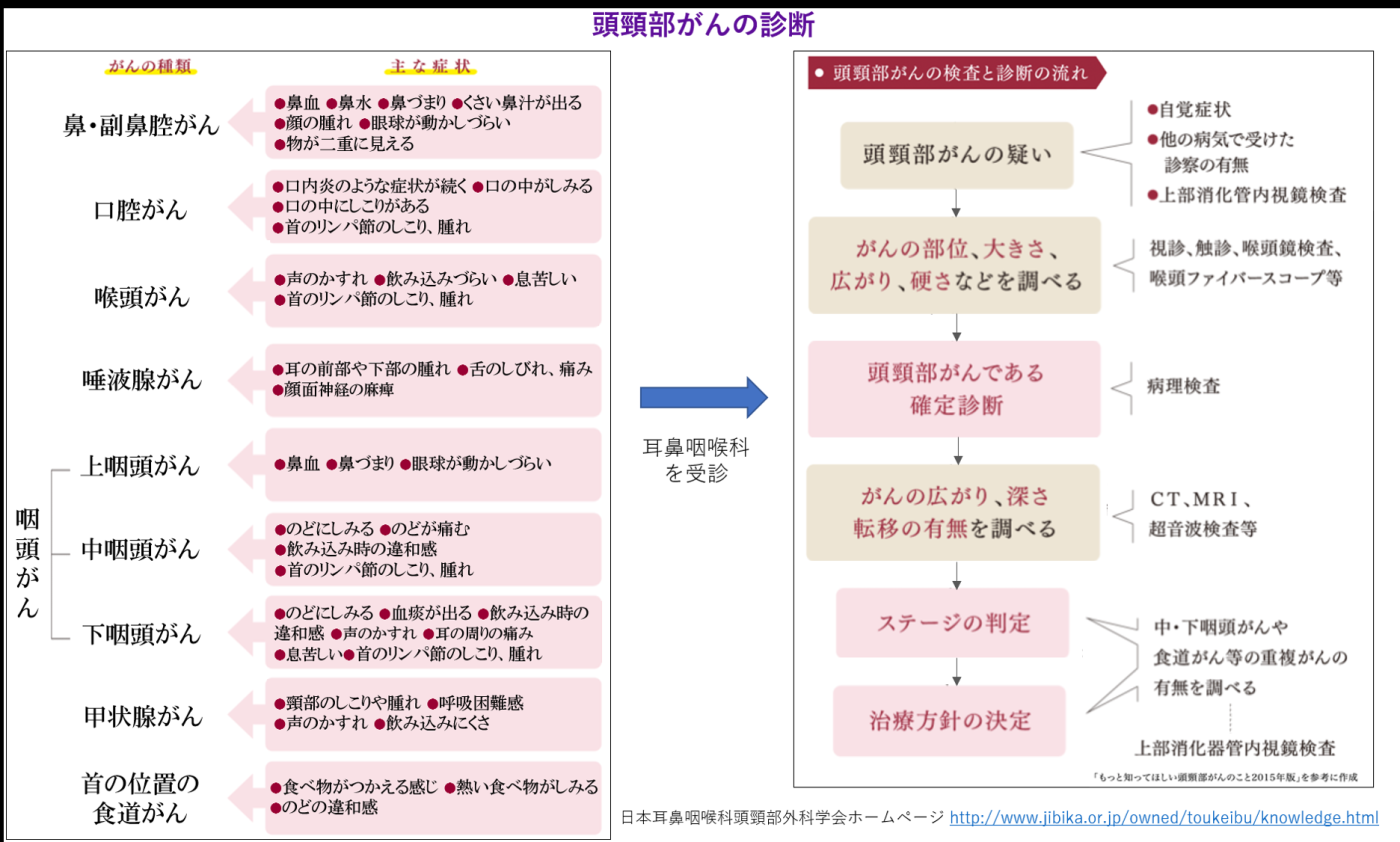 田原先生説明画像