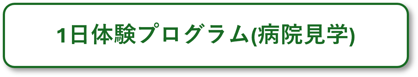 1dayprogram.png
