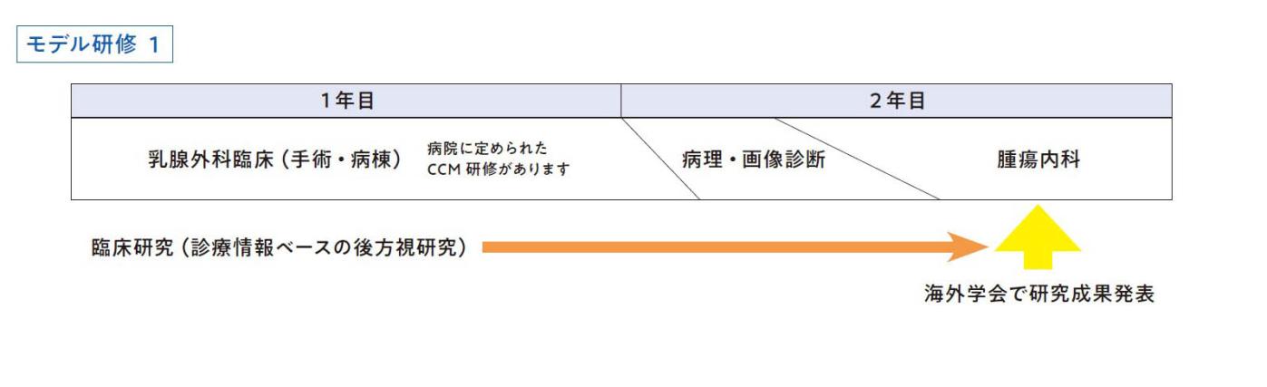 モデル研修1　2年間で漸次 乳腺外科臨床、病理・画像診断、腫瘍内科に進み海外学会で研究成果発表へ